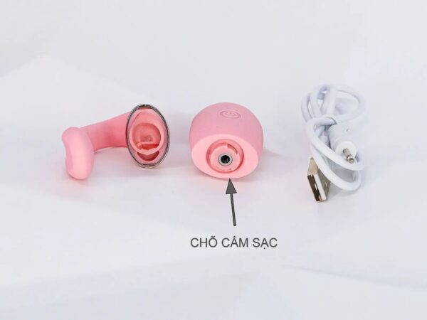 Trứng rung Swan Vibraing Egg 10 chế độ